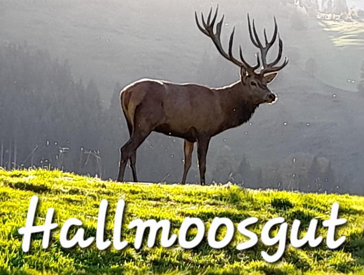 Hallmoosgut 蓬高圣约翰 外观 照片